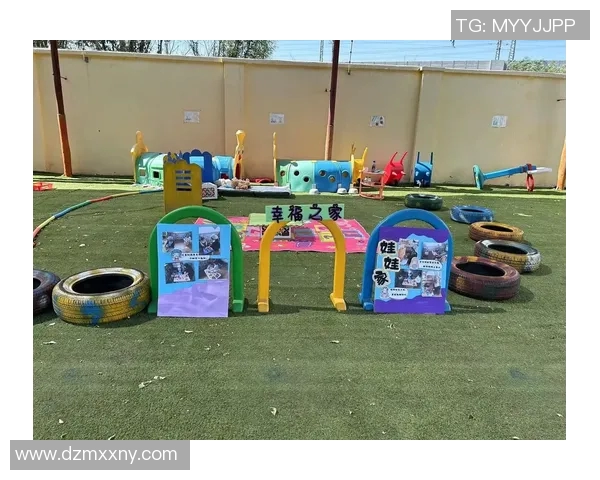 幼儿户外体育游戏精选让孩子在阳光下快乐成长的活动推荐